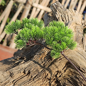 Cành thông nhựa - Cành giả làm cây cảnh, bonsai - Hoa lụa Minh Hòa
