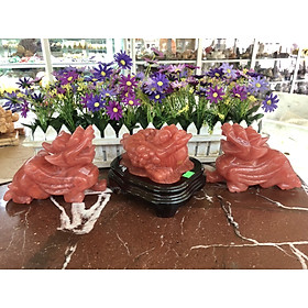 Mua Bộ combo Tỳ Hưu và Tượng Cóc Ba Chân Cóc Ngậm Tiền Thiềm Thừ phong thủy chiêu nạp tài lộc đá núi lửa trang trí bàn thờ thần tài thổ địa