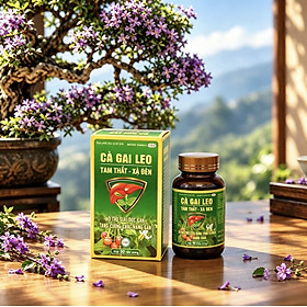 ￼Giải độc gan cà gai leo - xạ đen 50 Viên - Giúp bổ gan, bảo vệ tế bào gan, giải độc gan, Vinaphar