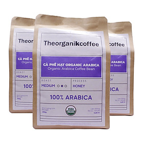 [COMBO 3 túi] Cà phê Arabica hữu cơ rang mộc - dạng hạt, 250g