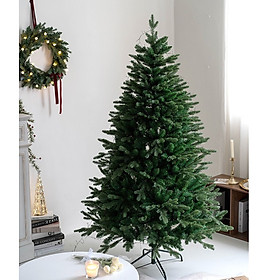 Mua Cây Thông Xanh Lá PE C22 Cao 1.8m (loại dày tán) Cây Thông Trang Trí Noel