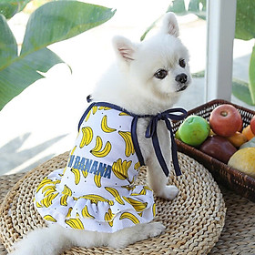 VÁY XÒE HÌNH TRÁI CÂY DỄ THƯƠNG CHO THÚ CƯNG CHÓ MÈO