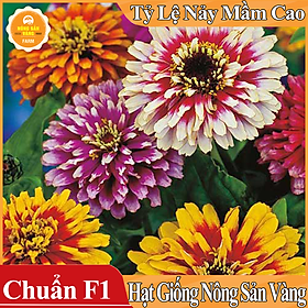 Mua Hạt giống Hoa Thược Dược Nhiều Màu ( Gói 50 Hạt ) - Nông Sản Vàng