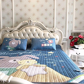 Mua Chiếu Điều Hòa vải Tencel 3D dùng quanh năm- Thỏ Sao mẫu mới 2019