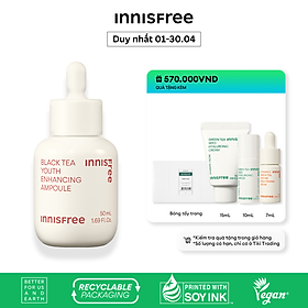 Tinh chất phục hồi da và chống lão hóa trà đen innisfree Black Tea Youth Ampoule 50 mL (New 2023)