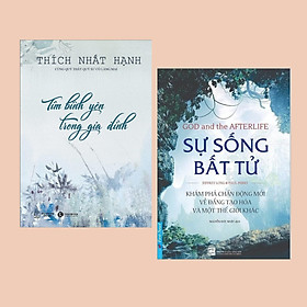 Download sách Coombo Sách Hay Về Tôn Giáo: Sự Sống Bất Tử + Tìm Bình Yên Trong Gia Đình ( Tái Bản ) - (Cẩm Nang Gia Đình / Sách Khám Phá)