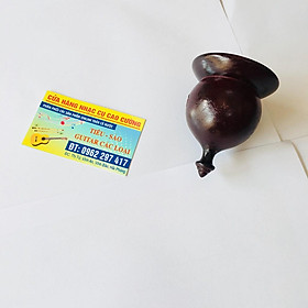 Mua Loa Cộng Hưởng Đàn Bầu