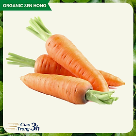 Cà rốt 1kg - Giao nhanh 3h