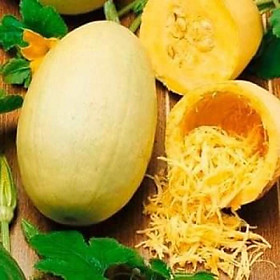 Mua Hạt giống bí mì sợi Spaghetti