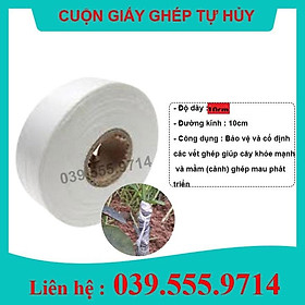 Giấy Ghép Cây Tự Hủy 10CM -BĂNG KEO GHÉP CÂY GIÚP BẢO VỆ MỐI GHÉP