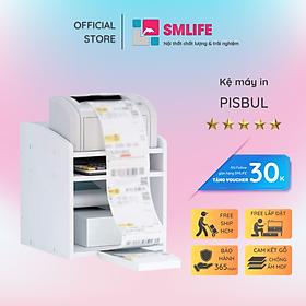 Mua Kệ để máy in gỗ hiện đại SMLIFE Pisbul