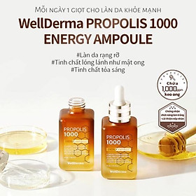 Serum Cải Thiện Nếp Nhăn Làm Trắng Da WellDerma Propolis 1000 Energy Ampoule 50ml