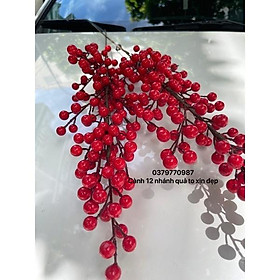 Mua Cành Đào đông đỏ  1 cành 12 nhánh hàng đẹp to tròn  cành quả chery