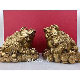 Mua Cóc thần tài bằng đồng  cóc thiềm thừ ba chân  cóc ngậm tiền bằng đồng vàng cao 15cm Linh vật phong thủy