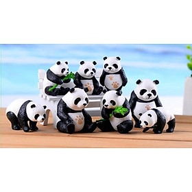 Gấu trúc dễ thương trang trí tiểu cảnh quà tặng trang trí