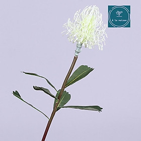 Mua Cành hoa Leucos cao 70cm đẹp sang trọng và lạ mắt  dùng decor thiết kế hoa cưới  hoa trang trí nhà cửa