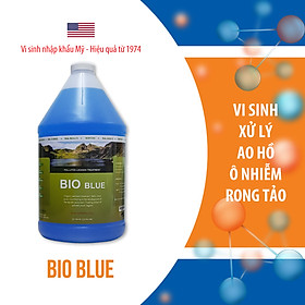 Bio Blue Vi sinh xử lý ao hồ bị ô nhiễm