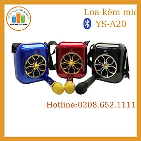 Mua loa bluetooth kèm mic không dây YS-A21