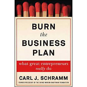 Hình ảnh Review sách Burn the Business Plan : What Great Entrepreneurs Really Do