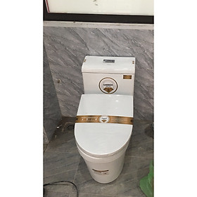 Mua BỒN CÂÙ CHINOX CN 686