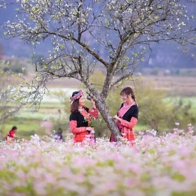 Tour 2N1Đ Hà Nội - Mai Châu - Mộc Châu - Các Mùa Hoa, Khởi Hành Thứ 7 Hàng Tuần