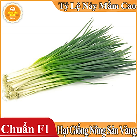 Mua Hạt giống Hành Lá ( Gói 1 Gram ) - Nông Sản Vàng
