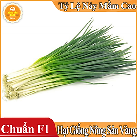 Hình ảnh Hạt giống Hành Lá ( Gói 1 Gram ) - Nông Sản Vàng