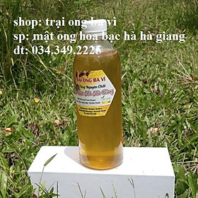 Mua Mật Ong Hoa Bạc Hà Tự Nhiên Nguyên Chất Đặc Sản Cao Nguyên Đá Hà Giang Việt Nam
