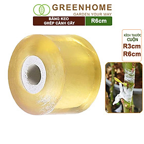 Mua Băng keo ghép cành cây  tự dính  tự huỷ  bảo vệ mối ghép nhanh liền  nhiều kích thước |Greenhome