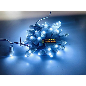 Mua Đèn Led trang trí dây Led đúc F5 bọc nhựa trang trí quấn cây chịu nước ngoài trời điện áp 12V