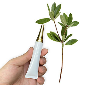 Mua Tuýp Nhựa Chiết Mỹ Phẩm - Tuýp Đựng Kem Đánh Răng  Dầu Gội  Sữa Tắm  Sữa Rửa Mặt