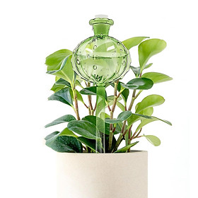 Plant Watering Globes, Self Watering Planter Insert, Glass Plant Watering Devices for Indoor and Outdoor Plants Accessories