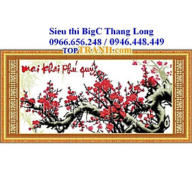 Mua Tranh thêu chữ thập cành hoa đào đỏ Mai khai phú quý 222436 chưa thêu