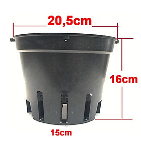 Chậu Nhựa đen Trồng Lan phi 21 Bền, Dẻo, có khe Treo chậu-77320