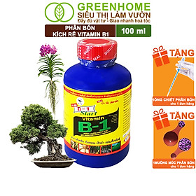 Phân Bón Kích Rễ, Greenhome, B1, Chai 100ml, Tạo Mầm, Rễ Khoẻ, Sai Hoa, Phục Hồi Rễ Yếu, Lá Dày, Xanh Hơn - B1 100ML KÍCH RỄ