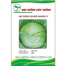 Hạt giống bắp cải xanh F1 CT1 - Gói 30 hạt