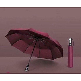 Ô gấp tự động.