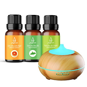 Combo 3 tinh dầu xông phòng thư giãn tặng kèm Máy khuếch tán Bí Ngô Vàng: Tinh dầu Sả Chanh - Tinh dầu Bạc Hà - Tinh dầu Cam Ngọt 10ml/chai JULYHOUSE