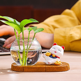 Mua Bộ decor Mèo thần tài may mắn kết hợp cùng bình thủy sinh trang trí nhà  bàn làm việc góc học tập giúp mang lại may mắn và thư giãn cho người sử dụng
