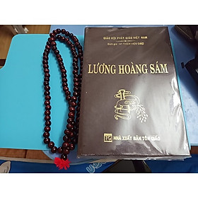 [Download Sách] Lương Hoàng Sám Bìa Da