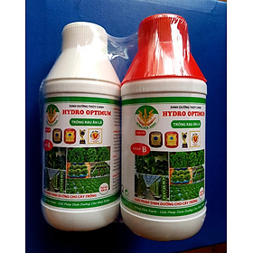 combo 2 chai dinh dưỡng thủy canh (group A và group B) chuyên trồng rau chai 500ml