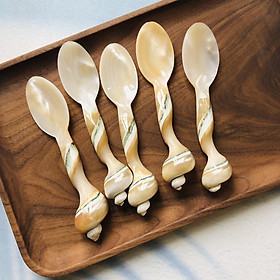 Mua Thìa Trai Trắng Cán Ốc 13cm  Thìa Xúc Trứng Cá Hồi  Trứng Cua  Phụ Kiện Nhà Bếp Chụp Ảnh Decor