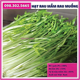 Bộ 2 gói Hạt mầm rau muống - gói 50g