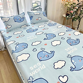 Bộ ga giường poly cotton LIDACO drap giường đủ size nệm 1m2, 1m4, 1m6, 1m8