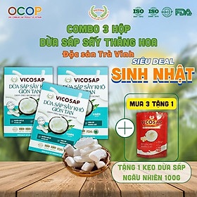 COMBO 3 hộp Dừa sáp sấy giòn cao cấp VICOSAP ít đường đồ ăn vặt healthy đặc sản Trà Vinh