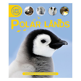 Life Cycles - Polar Lands