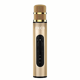 Micro Bluetooth không dây Karaoke hút âm siêu nhẹ cao cấp PKCB cho điện thoại - Hàng Chính Hãng