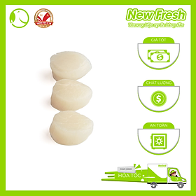 Cồi Sò Điệp Việt Nam - Túi 500Gr (60-80 Con)