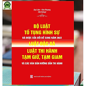 Ảnh bìa Bộ Luật Tố Tụng Hình Sử Đã Được Sửa Đổi, Bổ Sung Năm 2022, Luật Đặc Xá, Luật Thi Hành Tạm Giữ, Tạm Giam Và Các Văn Bản Hướng Dẫn Thi Hành