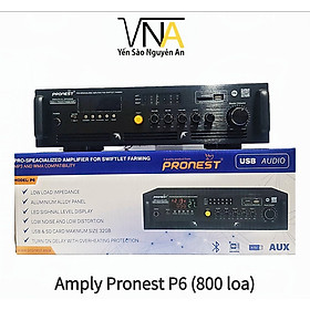 Amply Pronest P6 800 loa